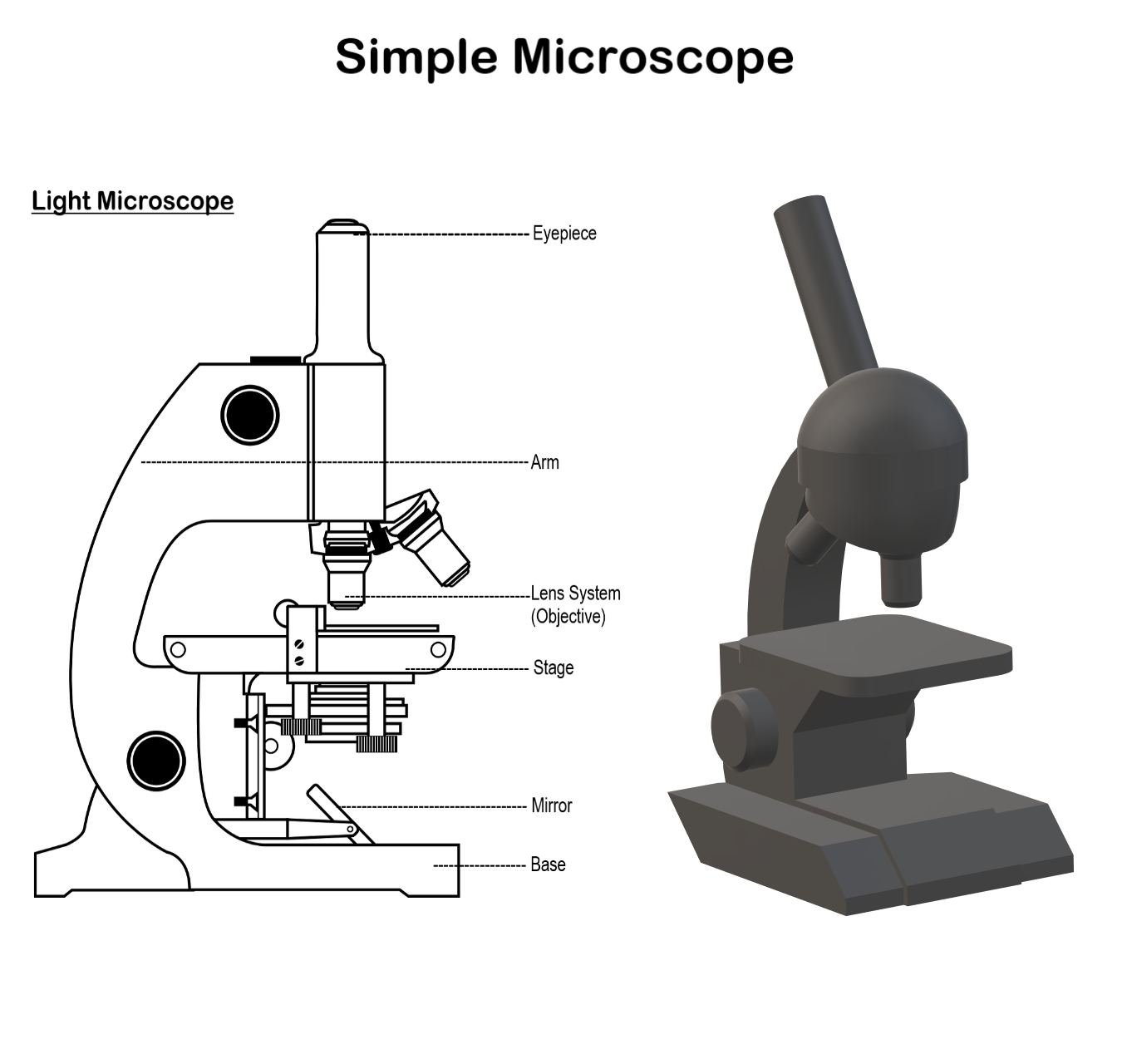 Simple-Microscope