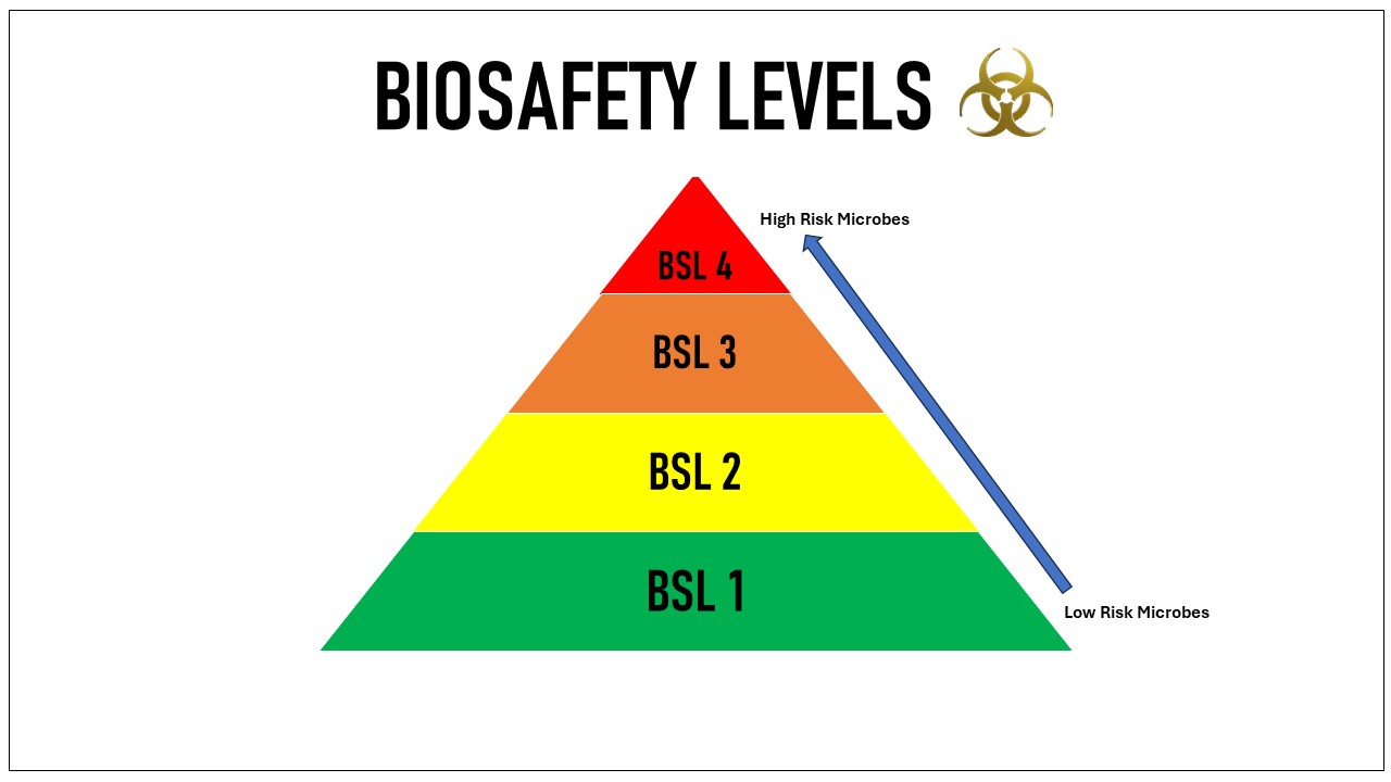 Biosafety Levels - BSL 1, BSL 2, BSL 3, BSL 4 Laboratory
