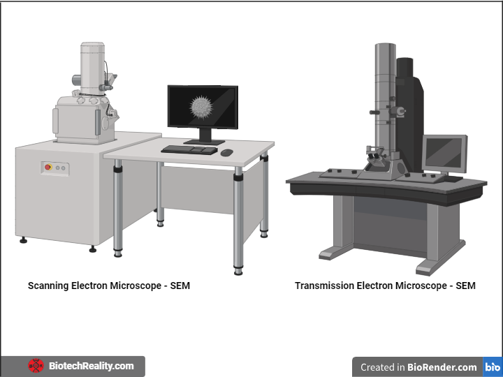Electron Microscopy - Specimen Preparation, Types, and Application