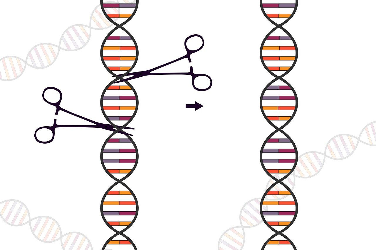 CRISPR representation