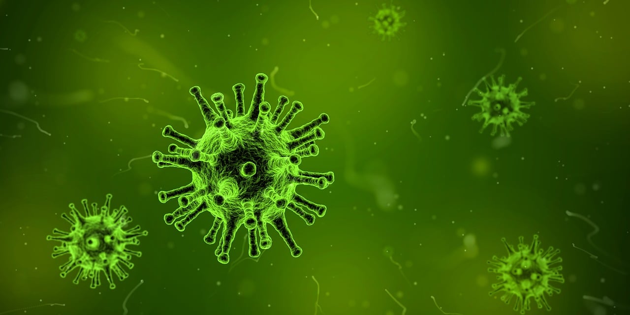 epstein barr virus
