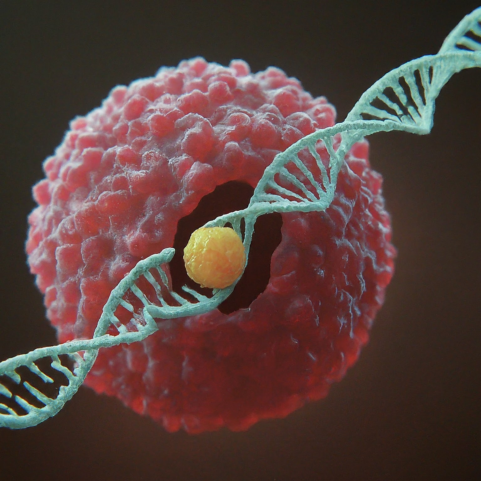 hemophilia gene therapy