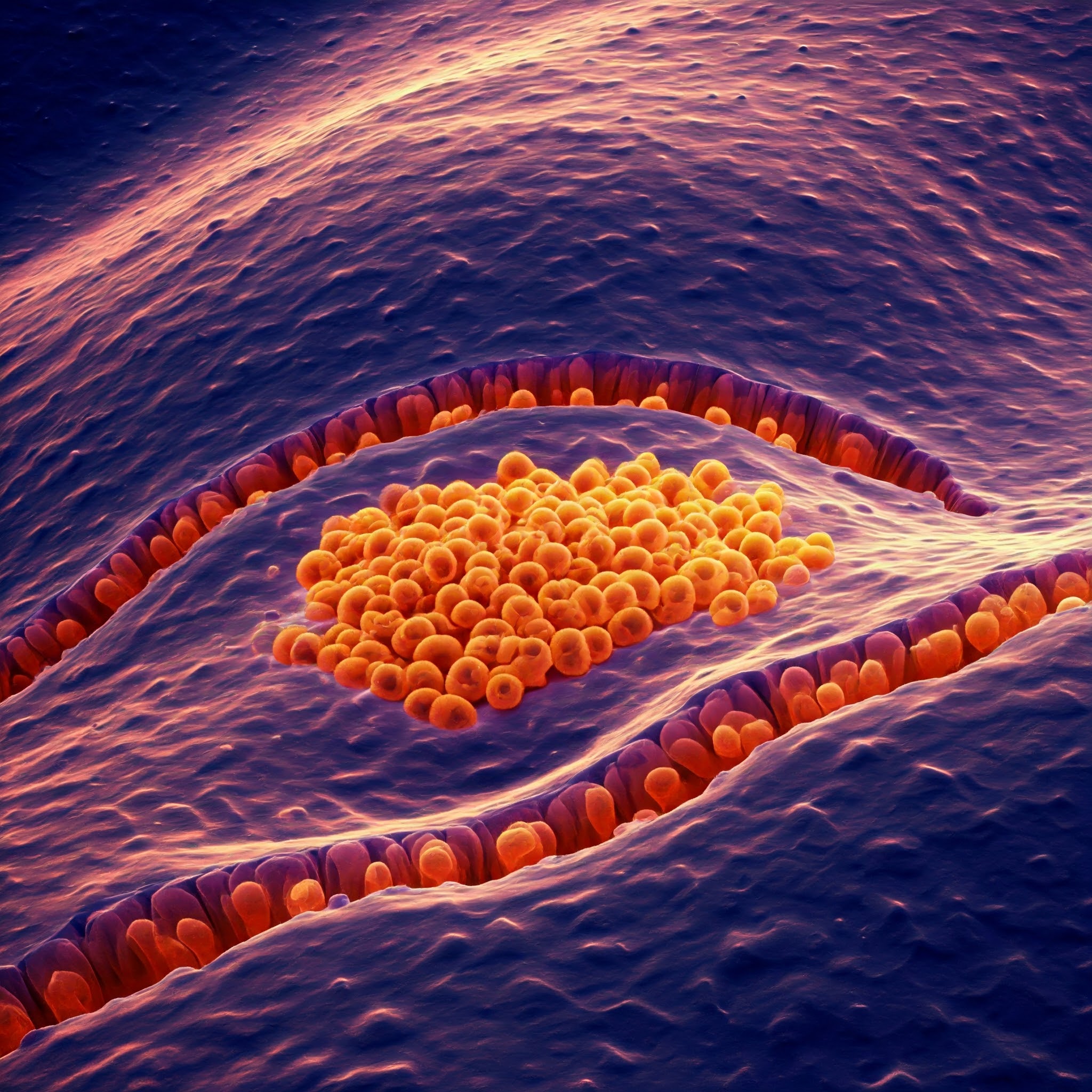 Regenerative medicine representation