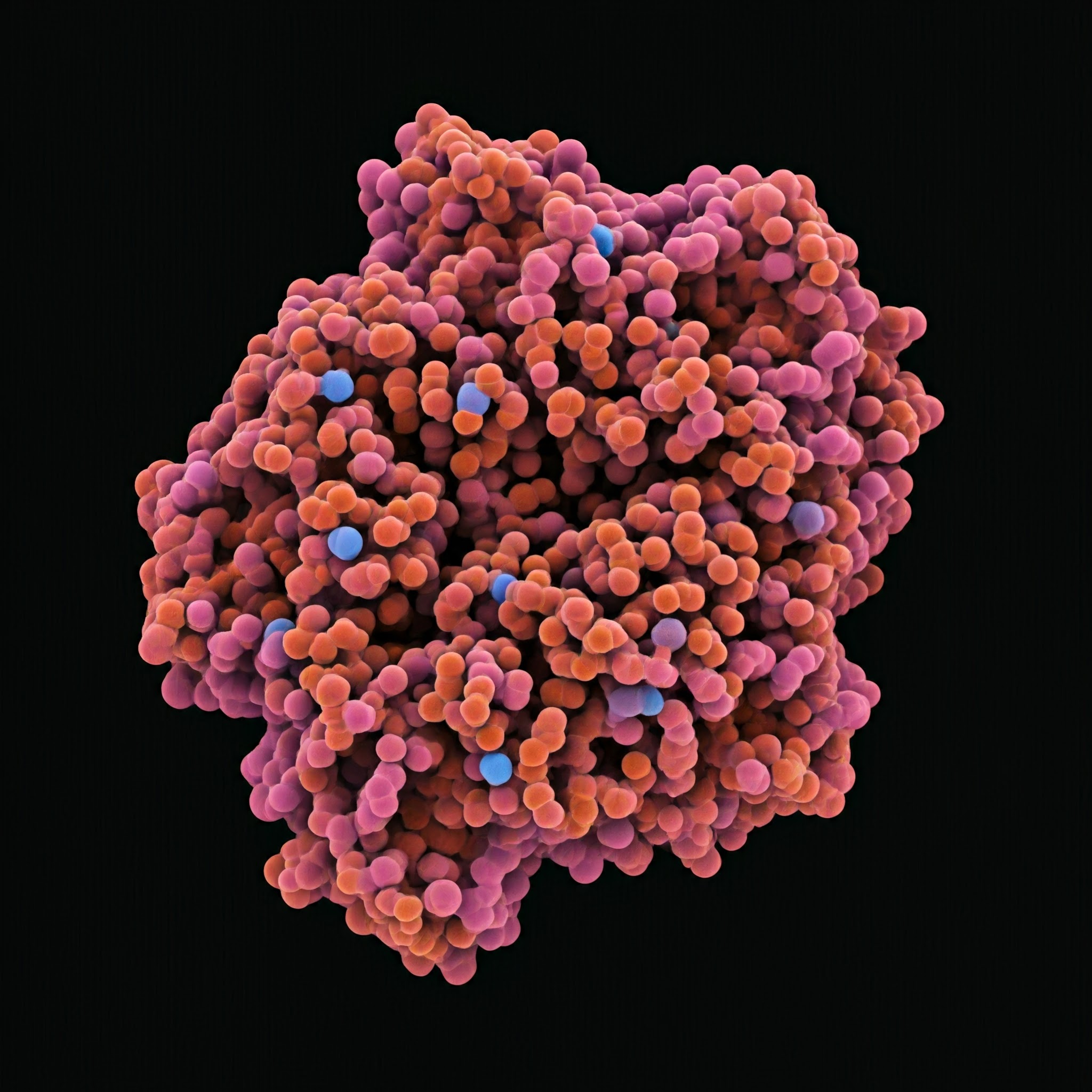 spliceosome structure