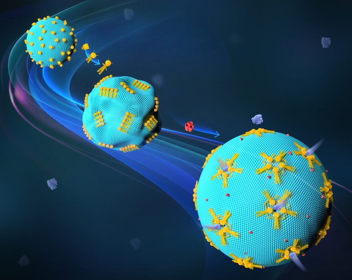 dna nanorobots representation