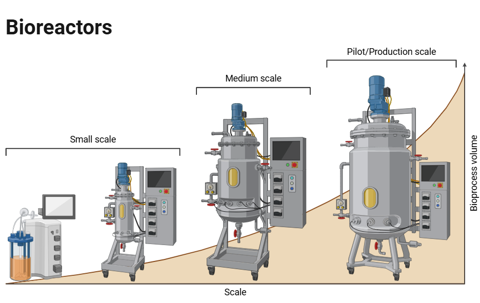 bioreactor structure